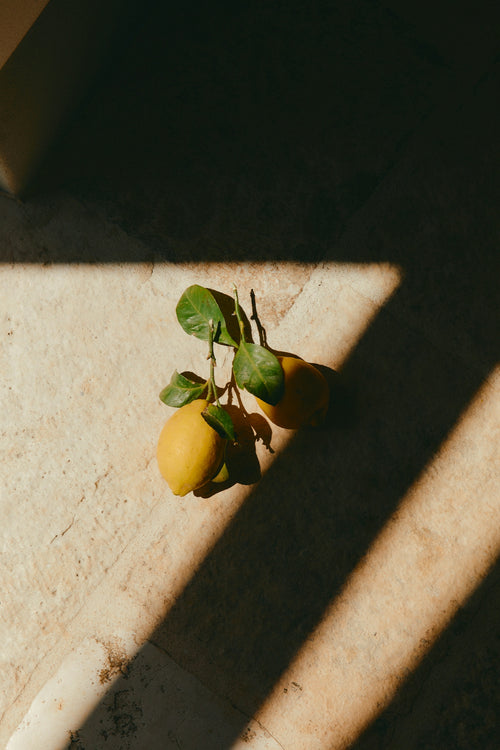 Review image from Leila C