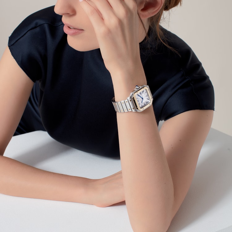 The Montre SEVN Large (Dual Tone)