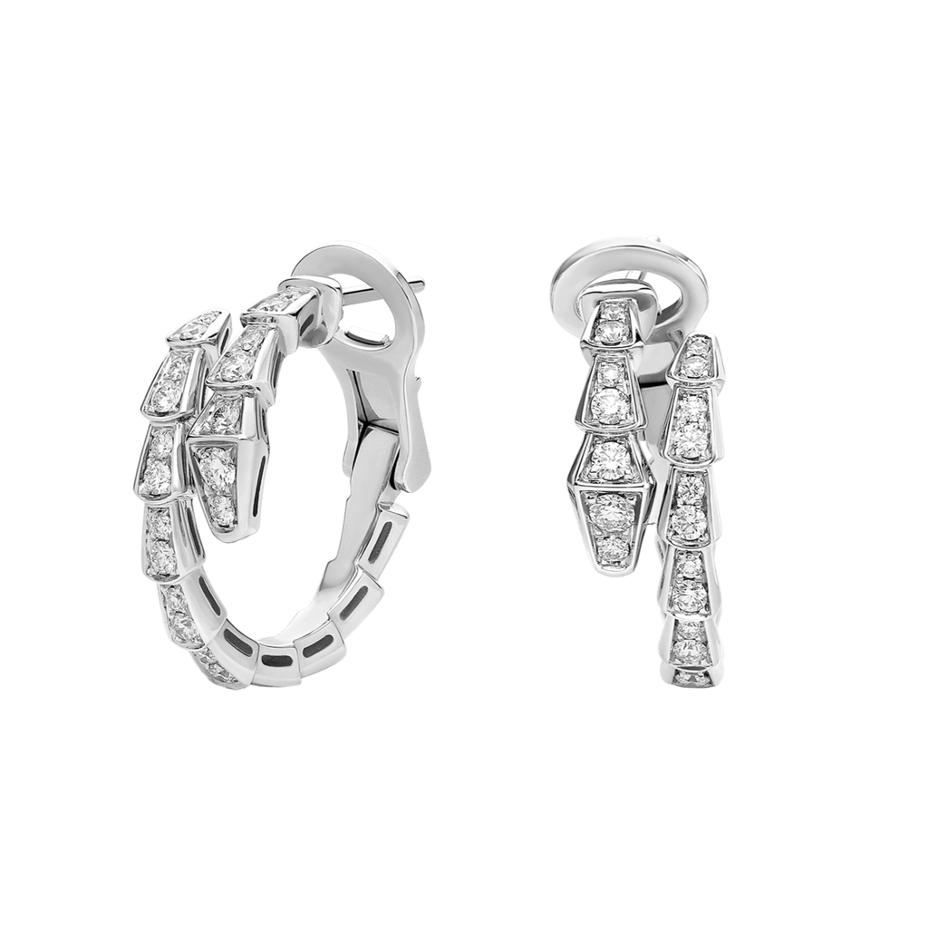 Serpent Wrap Earrings Silver Gem