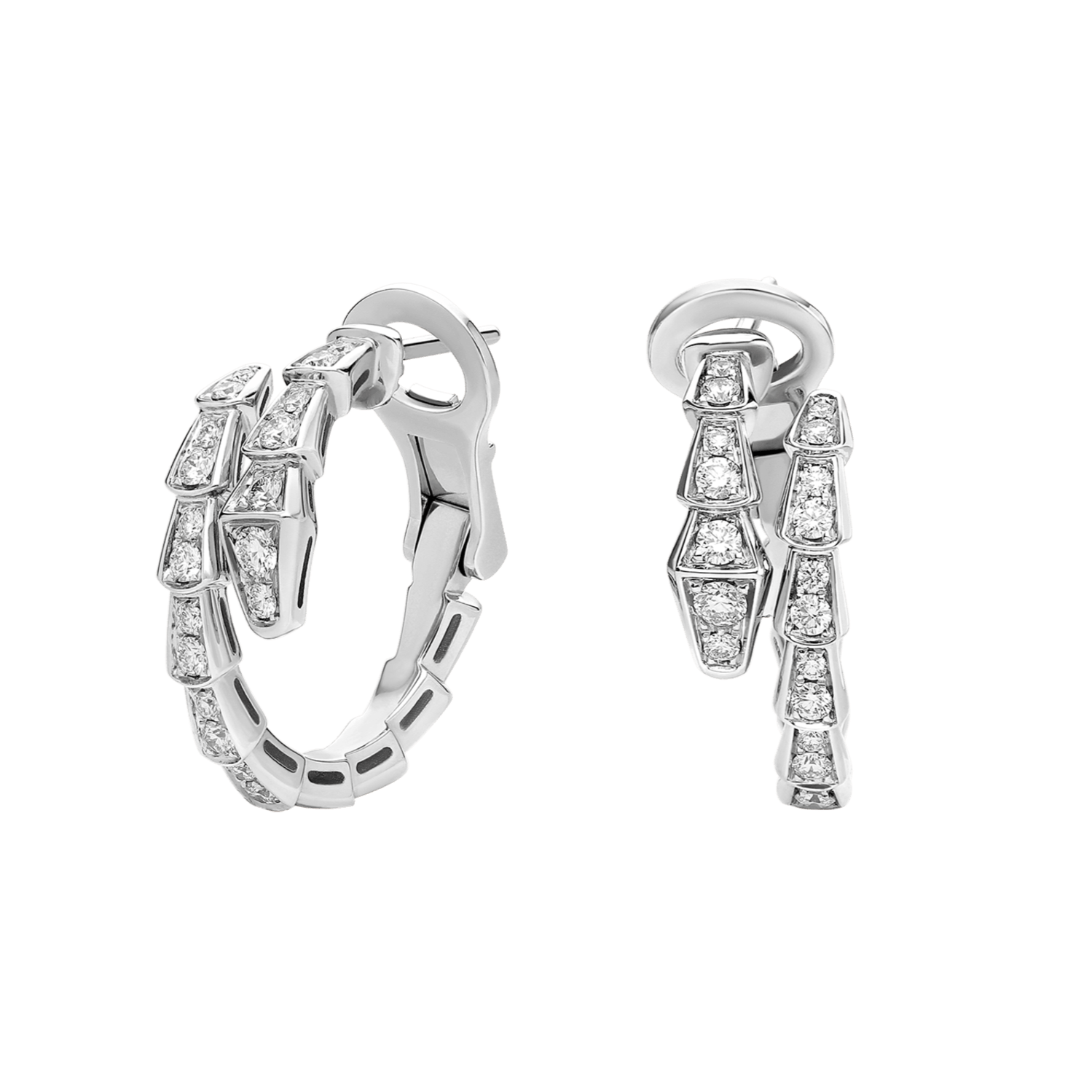 Serpent Wrap Earrings Silver Gem