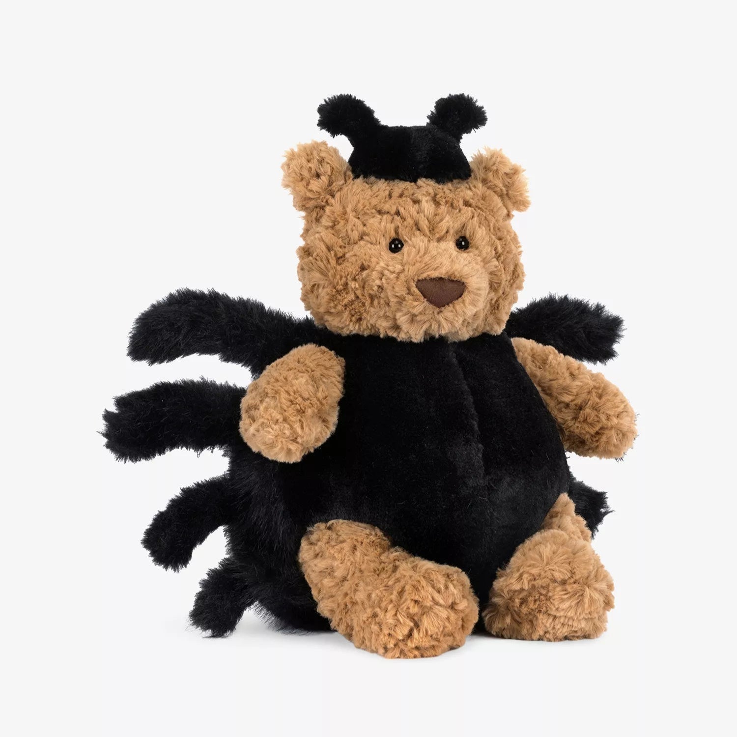 Spider Bear