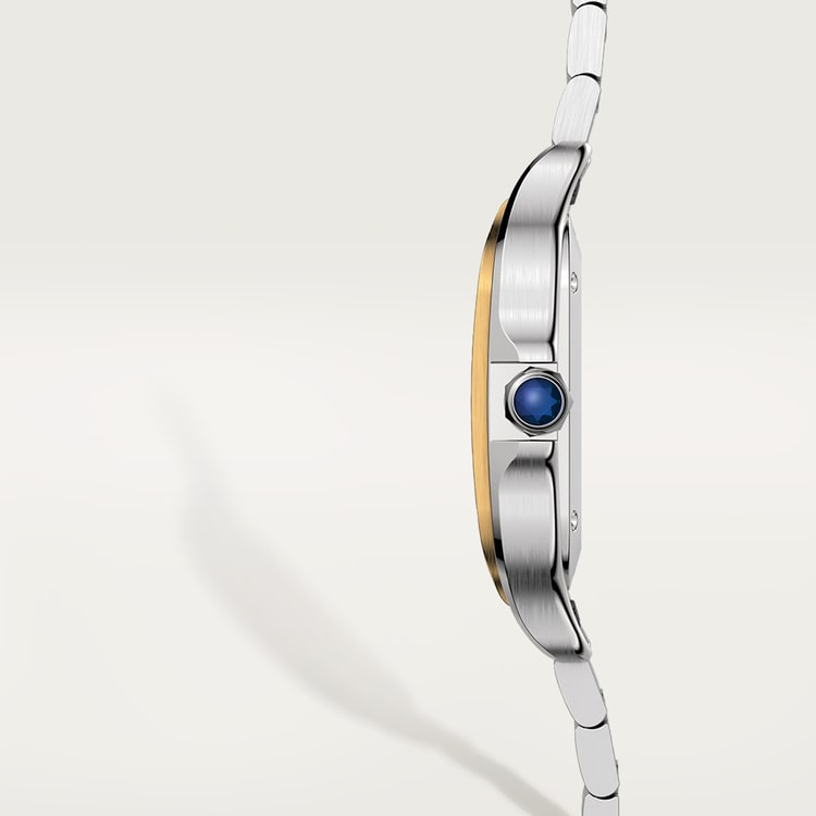 The Montre SEVN Large (Dual Tone)